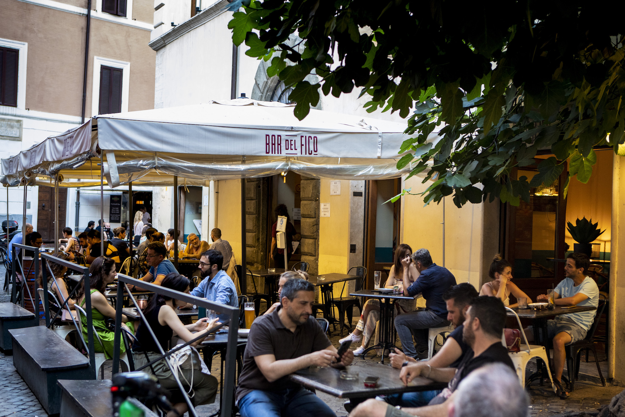 Bar Del Fico